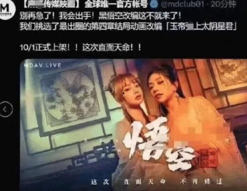 老版视频成人版,重温经典，探寻时代印记